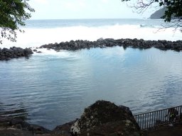 Visite de la petite cousine !